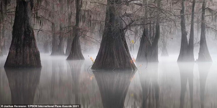 Epson International Pano Awards 2021