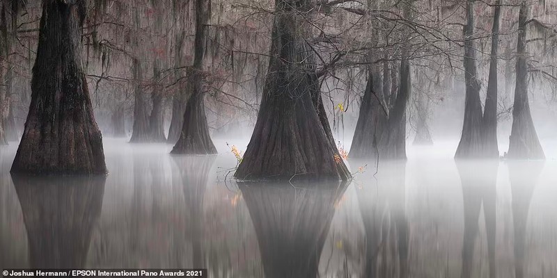 Epson International Pano Awards 2021