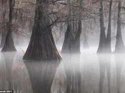 Karya Jawara Kontes Foto Panorama 2021 Menghipnotis Mata