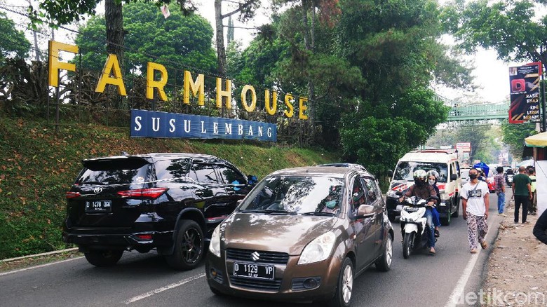 Arus lalulintas di kawasan wisata Lembang, Bandung Barat, mengalami peningkatan volume kendaraan sampai 20 persen pada libur akhir pekan kali ini.