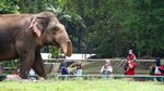 Ragunan Diserbu Ribuan Pengunjung