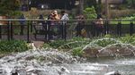 Ragunan Diserbu Ribuan Pengunjung