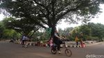 Ragunan Diserbu Ribuan Pengunjung
