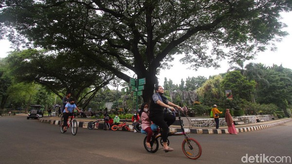 Seorang pengunjung asik bersepeda di kawasan Taman Margasatwa Ragunan yang pada hari ini mulai dibuka untuk umum.