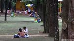 Ragunan Diserbu Ribuan Pengunjung