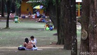 Selain melihat koleksi satwa yang ada di Taman Margasatwa Ragunan, pengunjung juga bisa duduk santai sambil makan siang di sekitar kawasan.