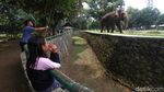 Ragunan Diserbu Ribuan Pengunjung