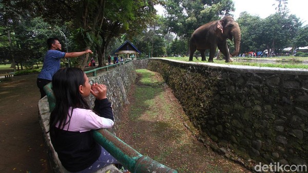 Ragunan Diserbu Ribuan Pengunjung