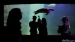 Kembalinya Keceriaan Anak-anak di Sea World Ancol