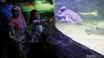Kembalinya Keceriaan Anak-anak di Sea World Ancol