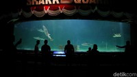 Unit rekreasi di kawasan Taman Impian Jaya Ancol yang dapat dinikmati antara lain Dunia Fantasi, Ocean Dream Samudra, Allianz Ecopark, Pasar Seni Ancol dan Gondola.