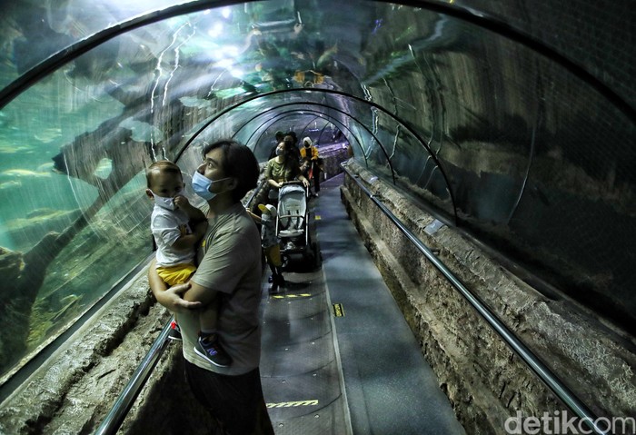 Wahana Sea World pada libur pekan ini terlihat ramai pegunjung. Telihat banyak anak-anak yang antusias di wahana tersebut.
