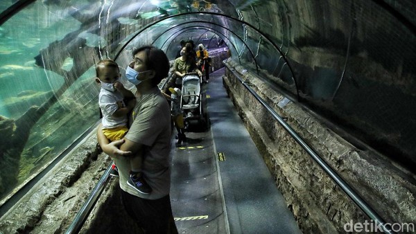 Sejumlah pengunjung menikmati wahana Sea World di kawasanTaman Impian Jaya Ancol, Jakarta Utara, Sabtu (23/10).