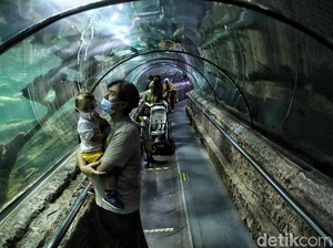Kapasitas Tempat Wisata Dibatasi 50% Saat Nataru, Plus Ganjil-Genap