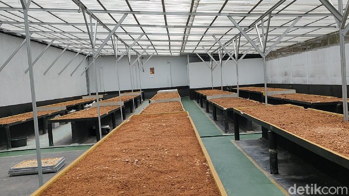 Ekonomi kreatif di pesantren makin maju. Di Garut, ada pesantren yang santrinya bisa membuat minuman herbal goes international lho!