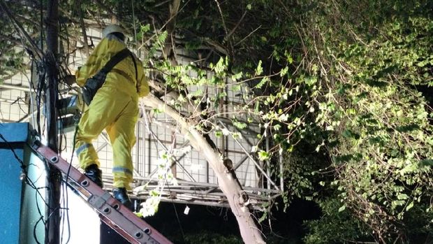 Penerangan lampu sekitar lokasi pelecehan seksual, seberang Stasun Sudirman, dekat Stasiun BNI City, 23 Oktober 2021 pukul 19.30 WIB. (Marteen Ronaldo P/detikcom) Penerangan lampu sekitar lokasi pelecehan seksual, seberang Stasun Sudirman, dekat Stasiun BNI City, 23 Oktober 2021 pukul 19.30 WIB. (Marteen Ronaldo P/detikcom)
