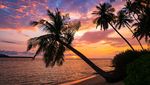 Indahnya Pulau Banyak di Aceh Singkil yang Dilirik UEA Jadi Wisata Halal