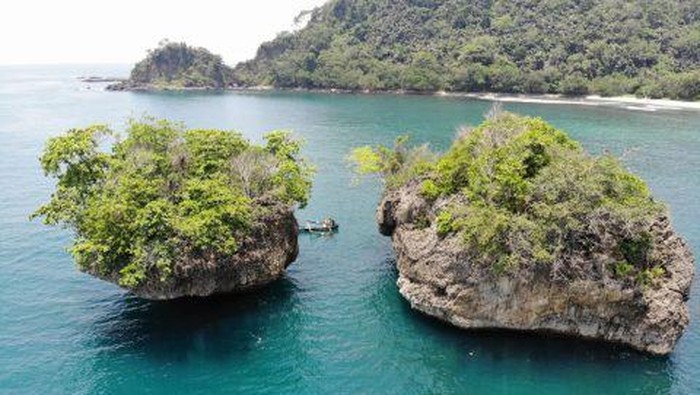 Pulau Majeti dan Pulau Wijayakusuma, tempat pohon Wijayakusuma Keraton tumbuh, di kawasan Cagar Alam Wijayakusuma Cilacap.