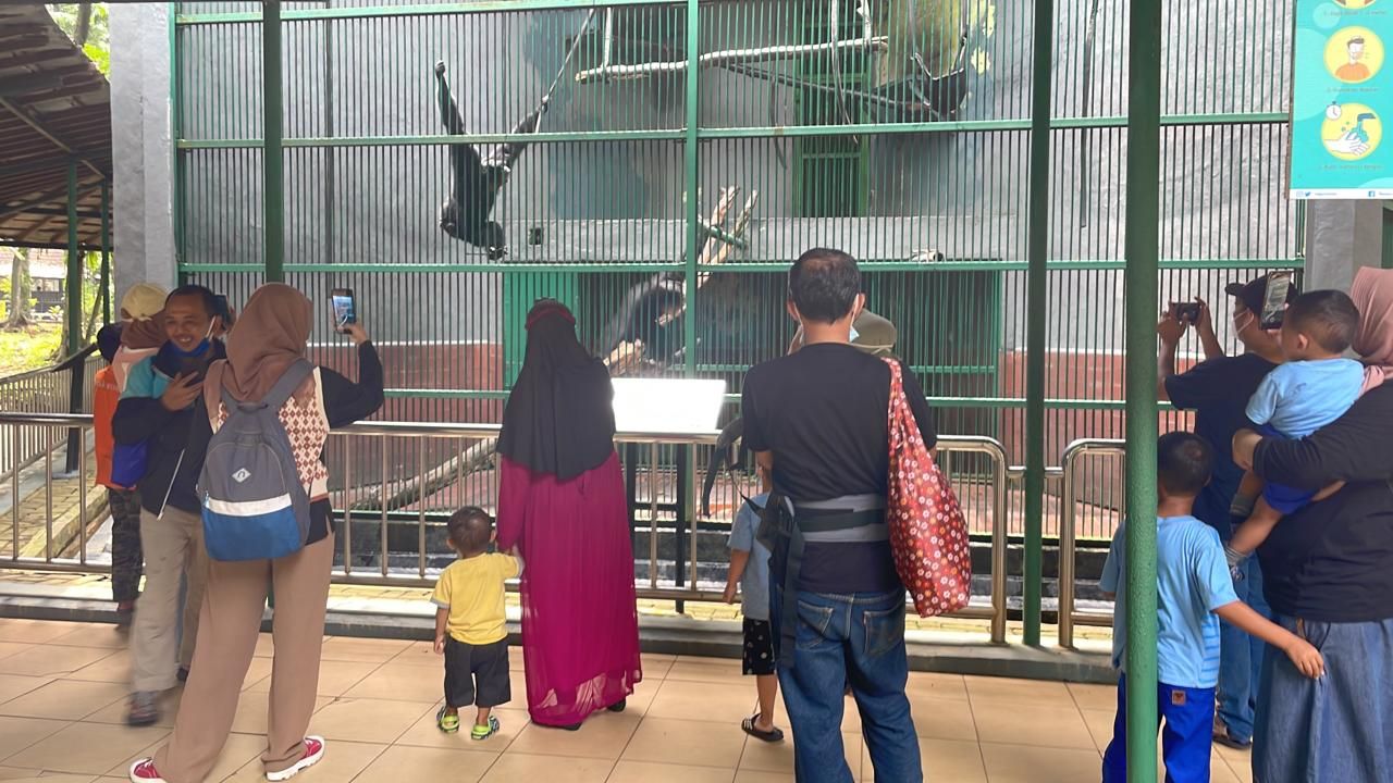 Suasana di Taman Ragunan hari pertama pembukaan PPKM level 2 (Toriq/detikcom)