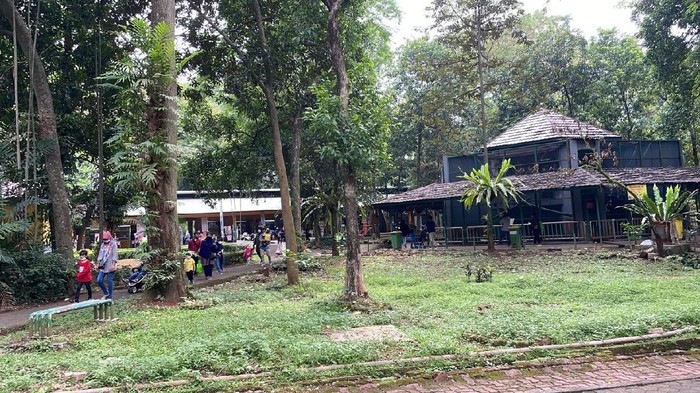Suasana di Taman Ragunan hari pertama pembukaan PPKM level 2 (Toriq/detikcom)