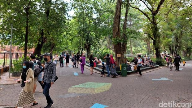 Kebun Binatang Surabaya kembali dibuka untuk umum. Objek wisata itu pun kembali ramai dikunjungi wisatawan saat akhir pekan.