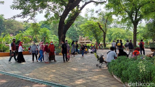 Humas KBS Agus Supangkat mengatakan, jika pada Minggu ini jumlah pengunjung lebih banyak dibandingkan Minggu sebelumnya. Pada Rabu (20/10), tepatnya pada libur Maulid Nabi juga kedapatan banyak pengunjung. Selain itu juga karena faktor Surabaya sudah turun ke Level 1. Untuk wahana bagi pengunjung, ada yang mulai kembali dibuka oleh KBS. Namun dibukanya beberapa wahana itu berdasarkan hasil evaluasi dan bertahap, tidak serentak dibuka semuanya. Ada pun wahana yang hingga kini belum dibuka kembali dengan beberapa pertimbangan. Seperti wahana aquariam, pertunjukan satwa, becak air, perahu, dan kolam renang belum dibuka kembali. Humas KBS Agus Supangkat mengatakan, jika pada Minggu ini jumlah pengunjung lebih banyak dibandingkan Minggu sebelumnya. Pada Rabu (20/10), tepatnya pada libur Maulid Nabi juga kedapatan banyak pengunjung. Selain itu juga karena faktor Surabaya sudah turun ke Level 1. Untuk wahana bagi pengunjung, ada yang mulai kembali dibuka oleh KBS. Namun dibukanya beberapa wahana itu berdasarkan hasil evaluasi dan bertahap, tidak serentak dibuka semuanya. Ada pun wahana yang hingga kini belum dibuka kembali dengan beberapa pertimbangan. Seperti wahana aquariam, pertunjukan satwa, becak air, perahu, dan kolam renang belum dibuka kembali.