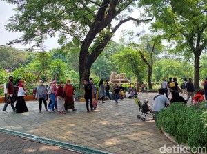 Tiga Minggu Buka, Kebun Binatang Surabaya Dikunjungi 37.838 Orang