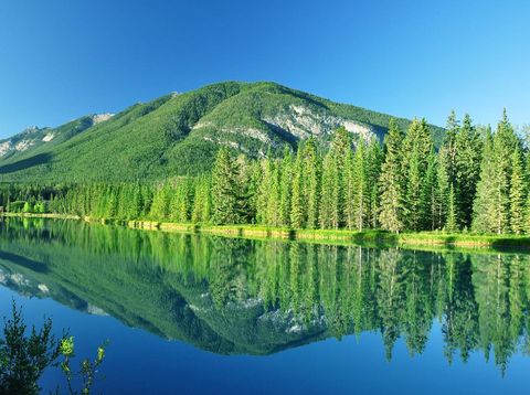 Banff, Canad. Banff didirikan sebagai taman nasional pertama Kanada pada tahun 1885. Banff adalah hutan belantara yang mudah diakses yang dengan mulus memberikan pengalaman bagi semua jenis pelancong. (Image by Jondolar Schnurr from Pixabay)