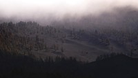 Diketahui, ribuan rumah dan bangunan serta area pertanian di kawasan La Palma hancur akibat aktivitas gunung berapi yang terjadi sejak bulan September lalu. AP Photo/Daniel Roca.