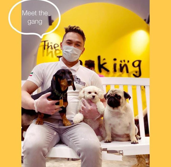 Begini Cozynya Kafe Khusus Anjing, The Barking Lot di Khobar, Arab Saudi