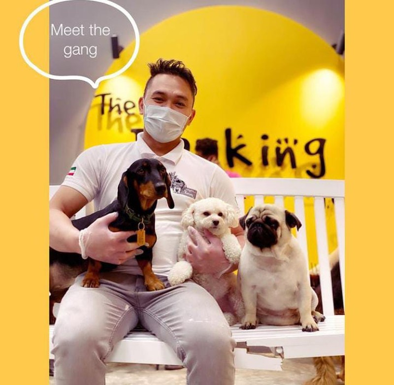 Begini Cozynya Kafe Khusus Anjing, The Barking Lot di Khobar, Arab Saudi