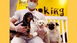 Begini Cozynya Kafe Khusus Anjing, The Barking Lot di Khobar, Arab Saudi