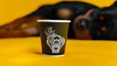 Begini Cozynya Kafe Khusus Anjing, The Barking Lot di Khobar, Arab Saudi