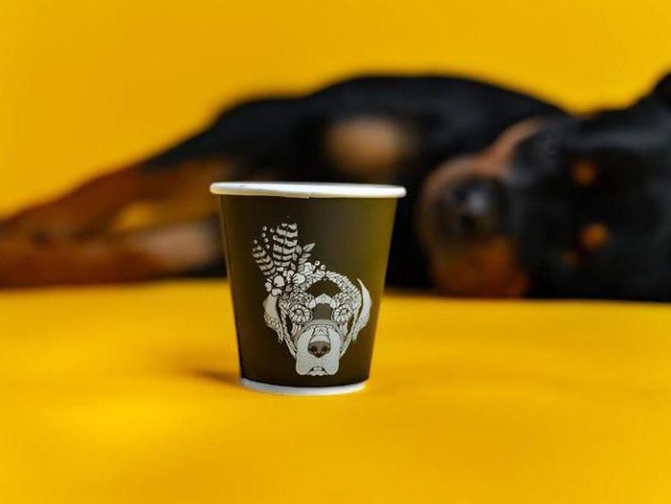 Begini Cozynya Kafe Khusus Anjing, The Barking Lot di Khobar, Arab Saudi