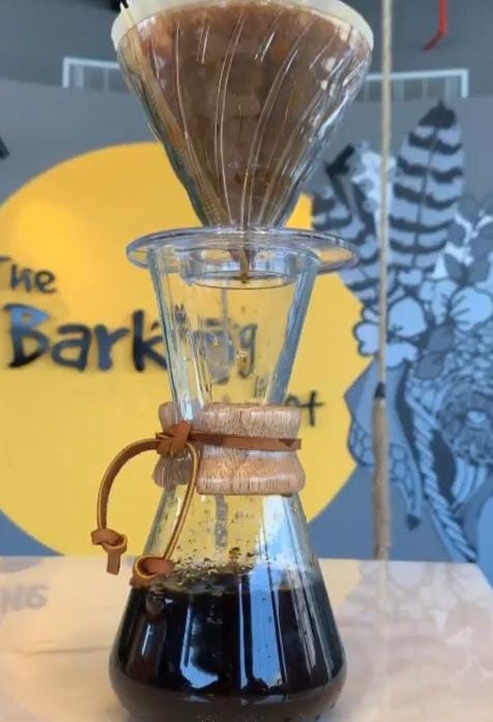 Kafe Anjing di Arab Begini Cozynya Kafe Khusus Anjing, The Barking Lot di Khobar, Arab Saudi