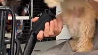 Bukan hanya sekadar mengajak anjing bermain, di kafe ini kamu juga bisa memberikan perawatan untuk anjing kesayangan. Sambil menyeruput es kopi yang sejuk, anjing-anjingmu akan digrooming hingga cantik bulu-bulunya. Foto: Instagram/thebarkinglot.sa