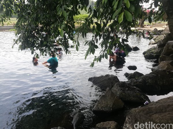 Menurut informasi, debit air yang dihasilkan oleh mata air Cikandung mencapai 1.200 liter per detik. (Nur Azis/detikcom) Menurut informasi, debit air yang dihasilkan oleh mata air Cikandung mencapai 1.200 liter per detik. (Nur Azis/detikcom)
