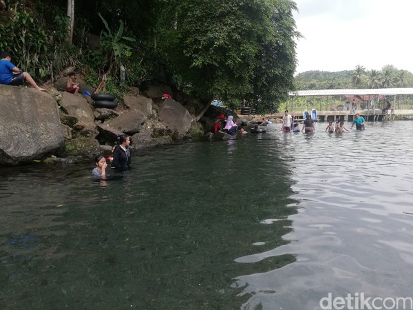 Pohon-pohon besar itulah yang merawat dan menjaga mata air Cikandung dalam memproduksi air dari dulu hingga kini. (Nur Azis/detikcom) Pohon-pohon besar itulah yang merawat dan menjaga mata air Cikandung dalam memproduksi air dari dulu hingga kini. (Nur Azis/detikcom)