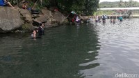 Pohon-pohon besar itulah yang merawat dan menjaga mata air Cikandung dalam memproduksi air dari dulu hingga kini. (Nur Azis/detikcom)