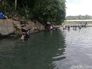 Segarnya Berenang di Kolam Mata Air Cikandung Sumedang
