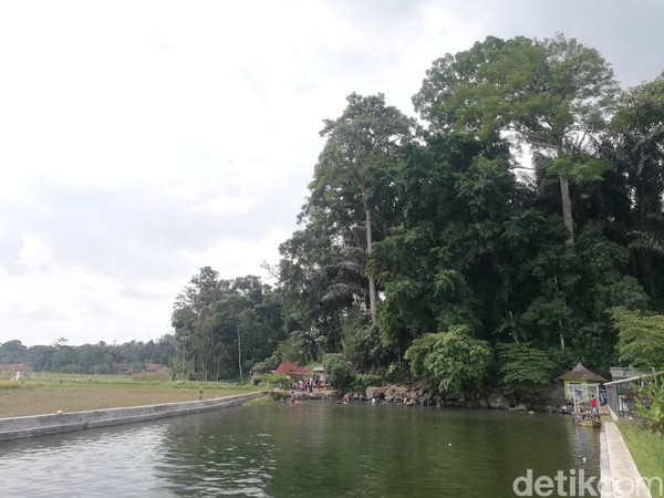 Mata air yang keluar dari balik bebatuan itu membentuk sebuah kolam di mana kiri dan kanannya berupa lahan persawahan. (Nur Azis/detikcom) Mata air yang keluar dari balik bebatuan itu membentuk sebuah kolam di mana kiri dan kanannya berupa lahan persawahan. (Nur Azis/detikcom)