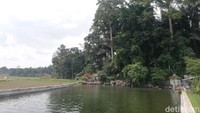Mata air yang keluar dari balik bebatuan itu membentuk sebuah kolam di mana kiri dan kanannya berupa lahan persawahan. (Nur Azis/detikcom)