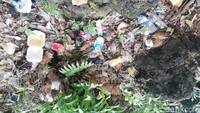 Sayangnya, kebersihan area mata air kurang terjaga karena masih banyak yang buang sampah sembarangan. (Nur Azis/detikcom)