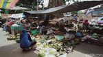 Penampakan Pohon Asam Raksasa yang Ada di Tengah Pasar Klaten