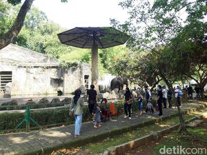 Cerita Senangnya Warga soal Ragunan Dibuka Lagi Usai PPKM Level 2