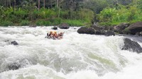 Setelah menyusuri derasnya air sungai selama sekitar satu jam, di garis finish kita akan dijemput dan diangkut dengan mobil untuk dikembalikan lagi ke titik start. (Rinto Heksantoro/detikcom)