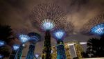 Siap Buka Pintu Buat WNI, Ini Syarat Masuk ke Singapura