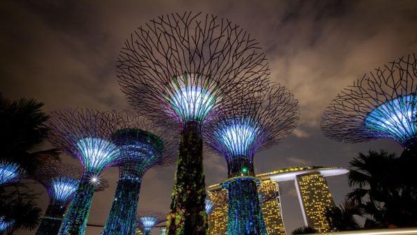 Sementara itu, MOH menyebut akan melonggarkan aturan untuk pelancong dari beberapa negara lain, termasuk Malaysia dan Indonesia. Singapura mengklasifikasikan negara dan wilayah ke dalam empat kategori berdasarkan risiko Covid-19. Kategori itu membedakan syarat masuk Singapura. Getty Images/Chris McGrath. Sementara itu, MOH menyebut akan melonggarkan aturan untuk pelancong dari beberapa negara lain, termasuk Malaysia dan Indonesia. Singapura mengklasifikasikan negara dan wilayah ke dalam empat kategori berdasarkan risiko Covid-19. Kategori itu membedakan syarat masuk Singapura. Getty Images/Chris McGrath.