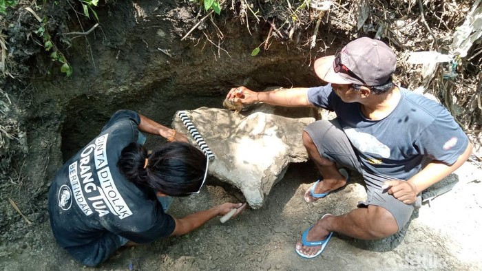 Temuan fosil tulang banteng purba di Kapuan, Blora