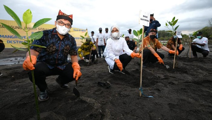 Guna mendukung tercapainya pembangunan berkelanjutan, Bank BTN memberikan bantuan kepada Pemerintah Kabupaten Banyuwangi khususnya di destinasi wisata Pantai Cemara.